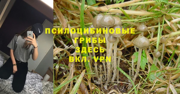 гашиш Пересвет