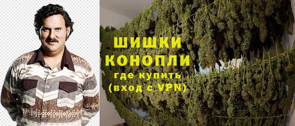 дурь Переславль-Залесский
