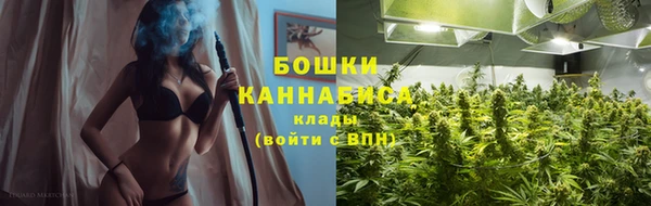 дурь Переславль-Залесский