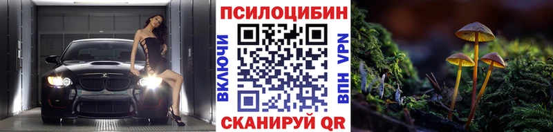 гидра   Курган  Галлюциногенные грибы Psilocybine cubensis  как найти закладки 