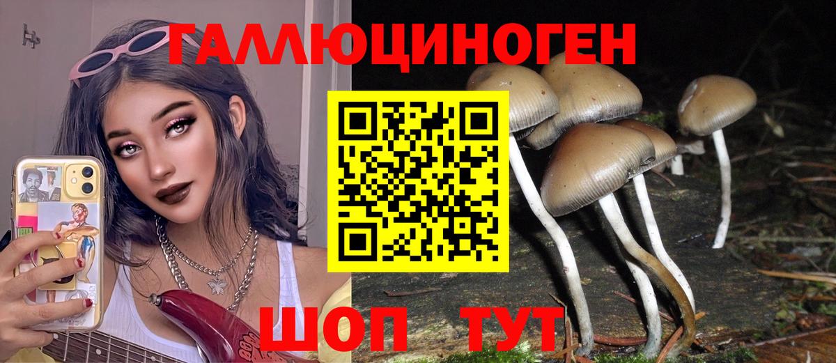 Псилоцибиновые грибы Magic Shrooms Курган