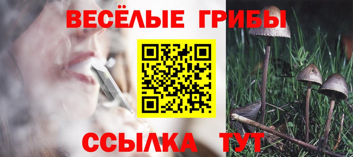 Галлюциногенные грибы мухоморы  Вход с VPN  Курган 